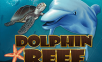 Dolphin Reef